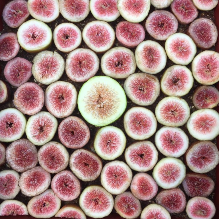 Fresh cut figs