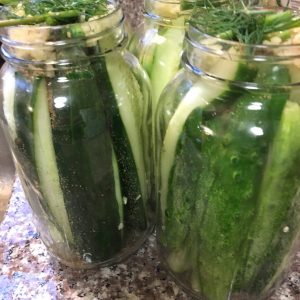 Apple cider dill pickles