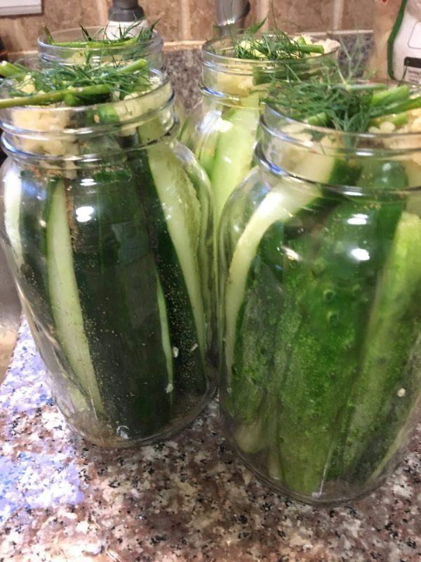 Apple cider dill pickles