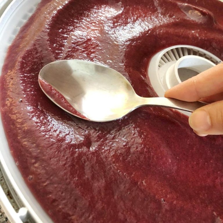 Dehydrator fruit puree