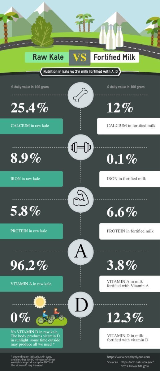 Kale vs milk healthy alyona