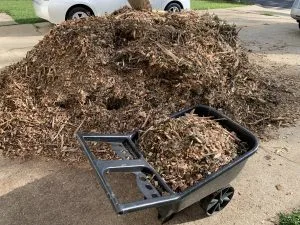 Natural mulch pile wheelbarrow 2