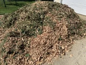 Organic wood chip mulch