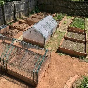 Raised bed garden