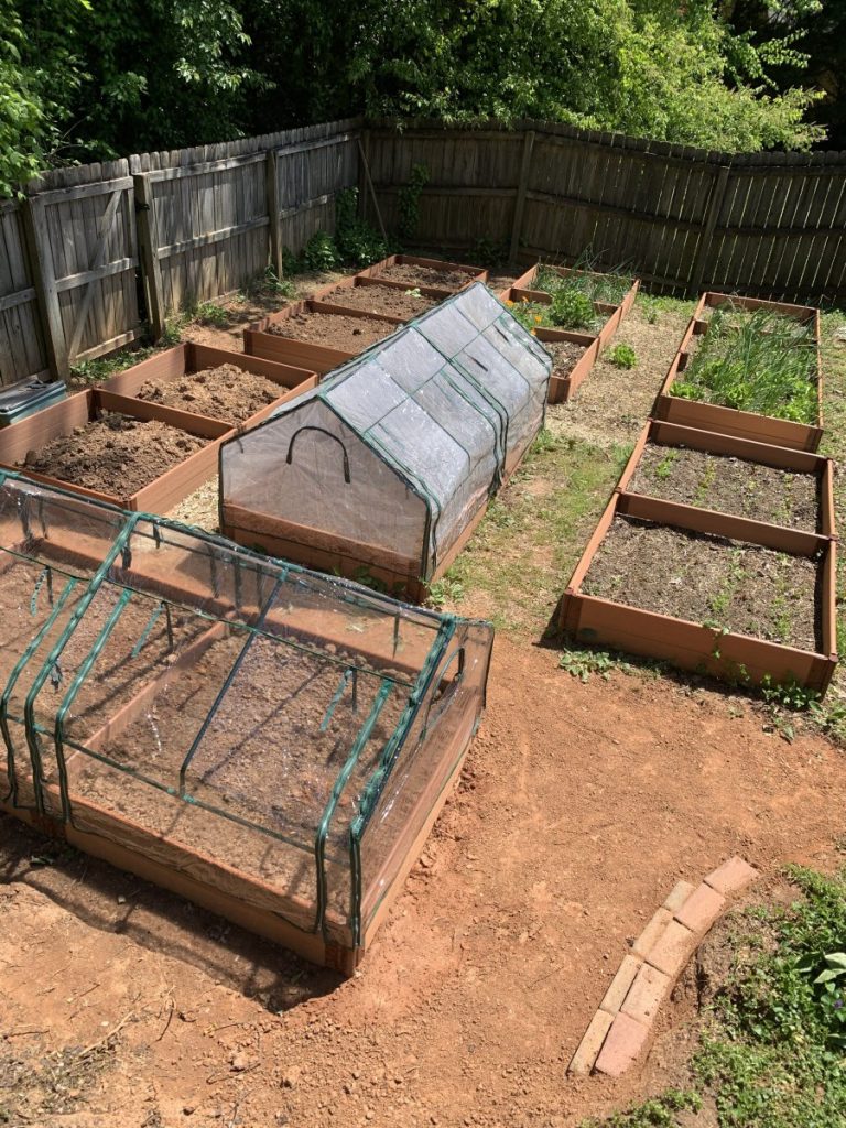 Raised bed garden